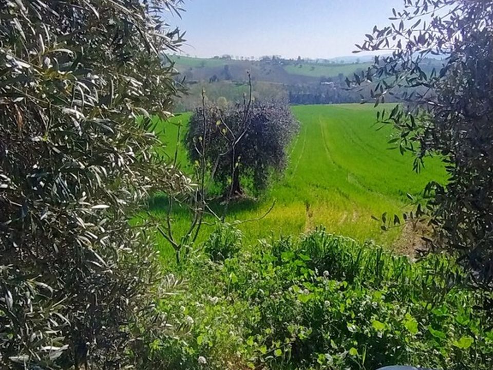 Casa de campo en Montegiorgio, Fermo - foto 3
