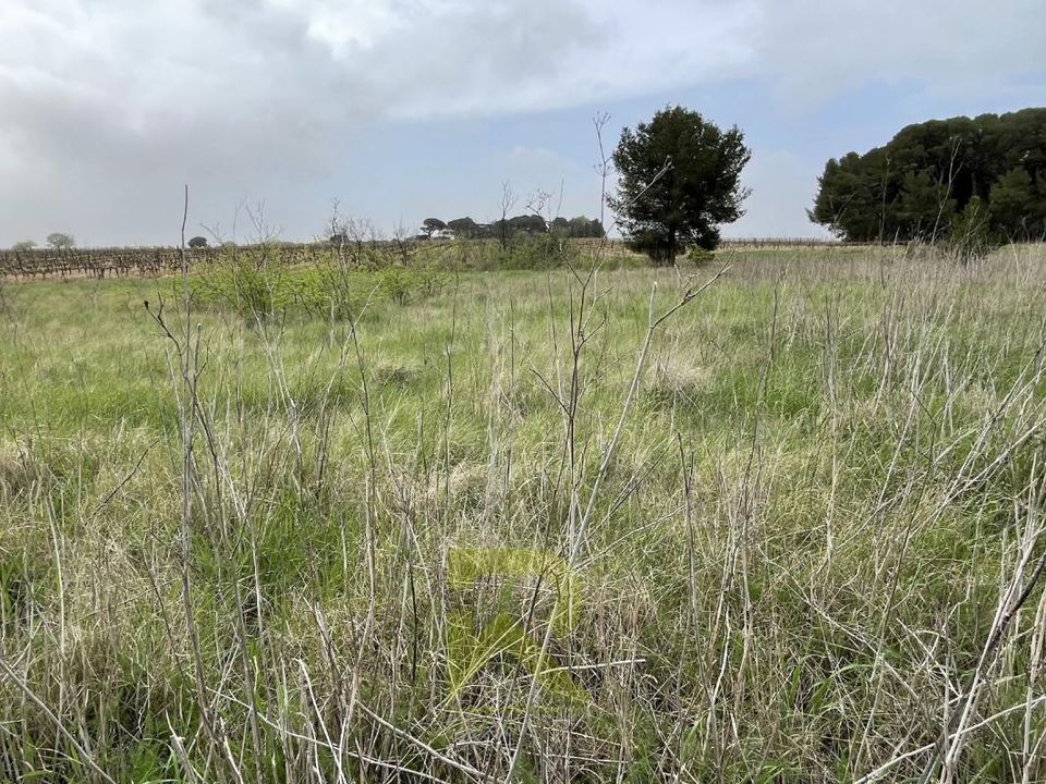 Grond in Servian, Herault - foto 1