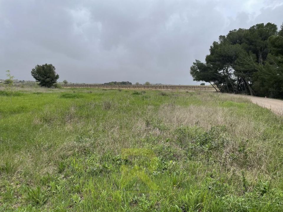 Grond in Servian, Herault - foto 3