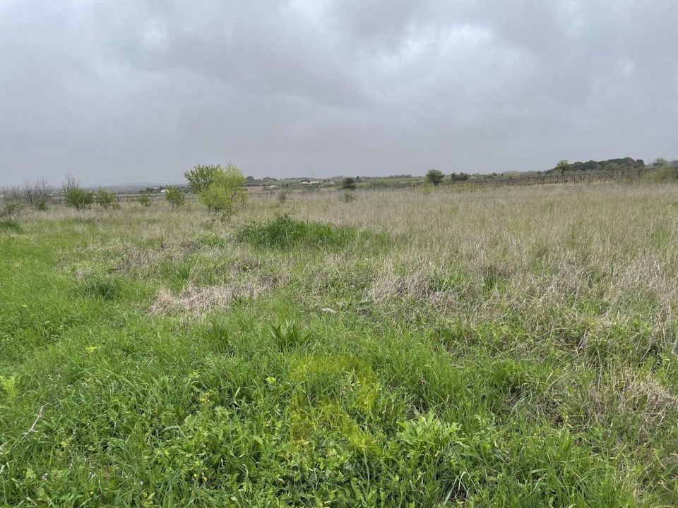 Grond in Servian, Herault - foto 4