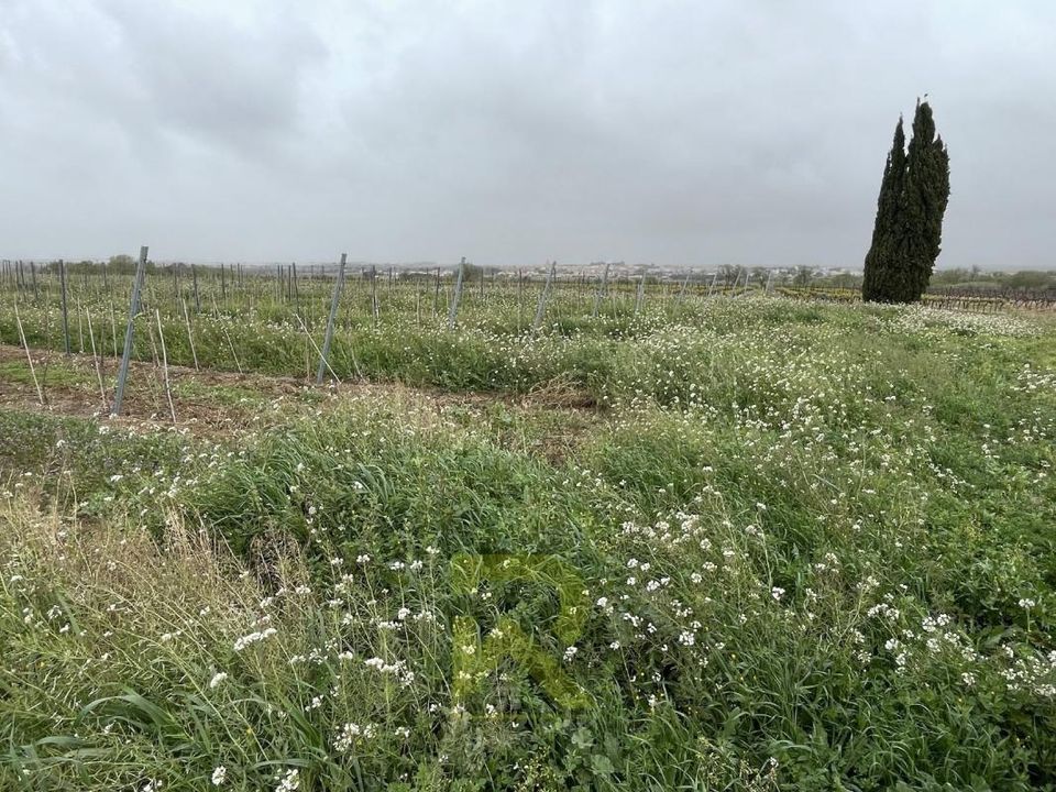 Grond in Servian, Herault - foto 5