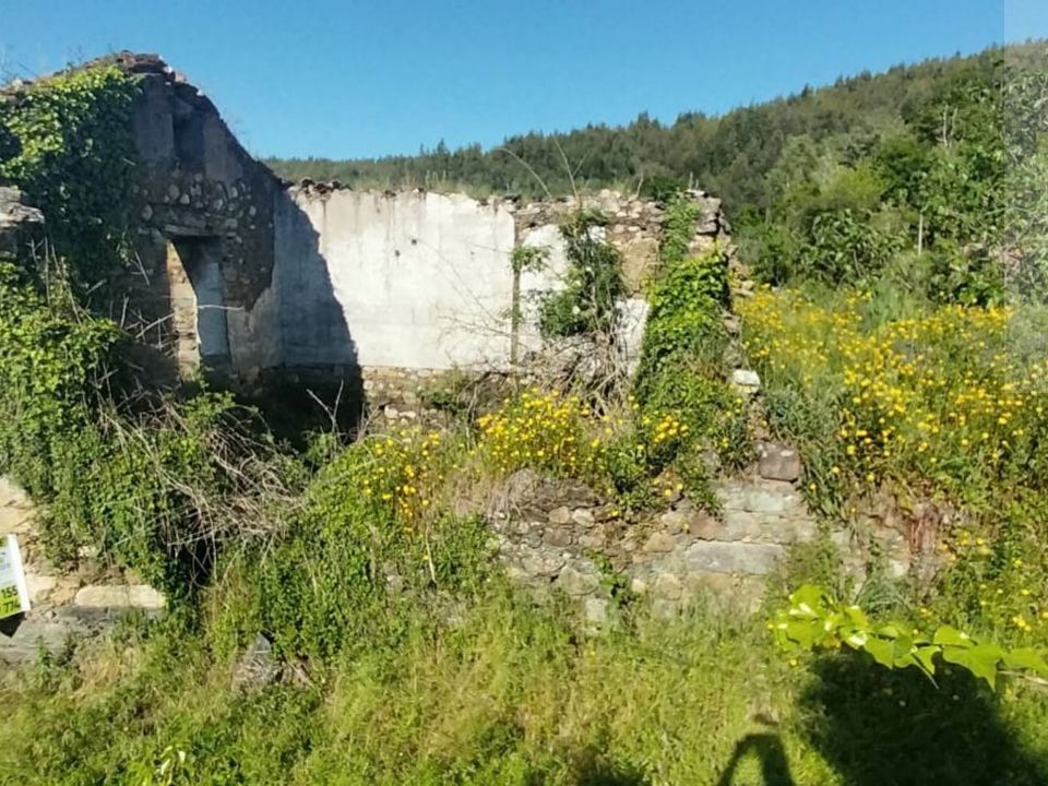 Villa i Arganil, Coimbra - foto 3