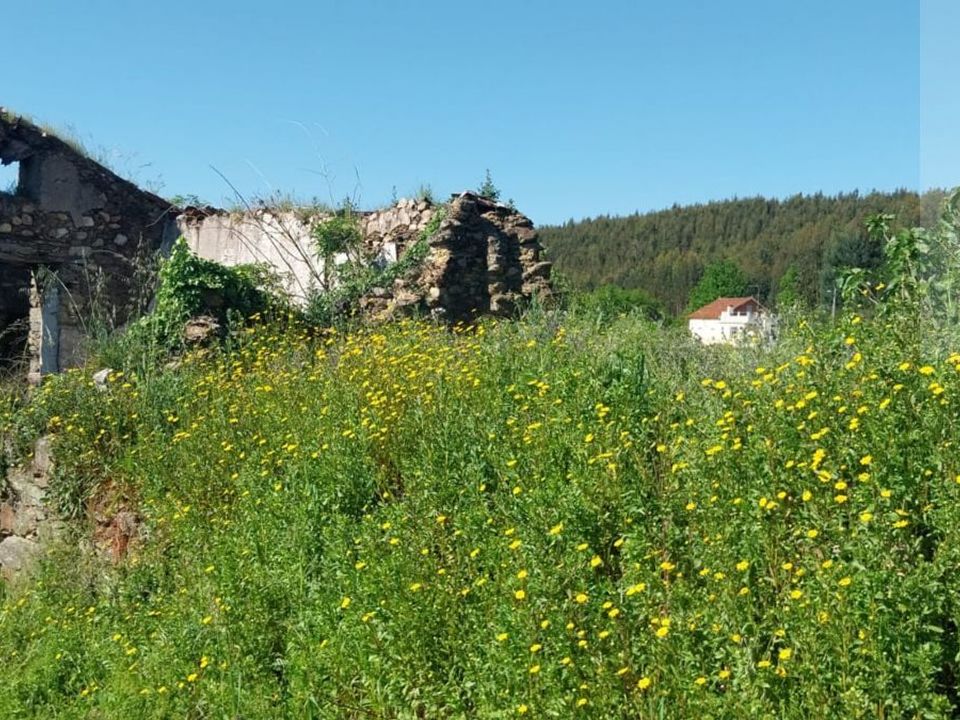 Villa i Arganil, Coimbra - foto 4