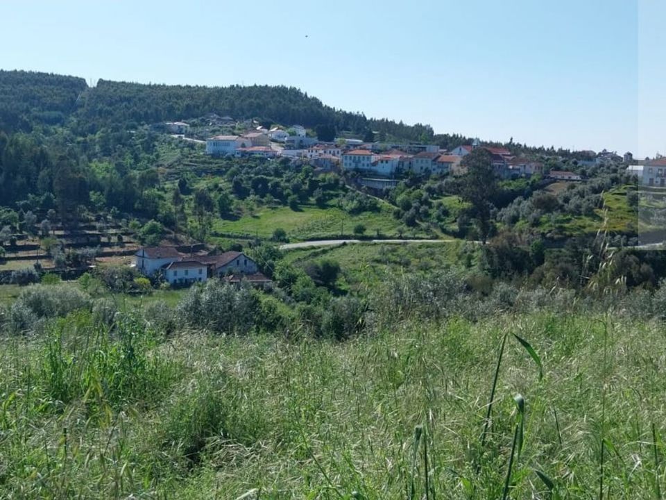 Villa i Arganil, Coimbra - foto 5