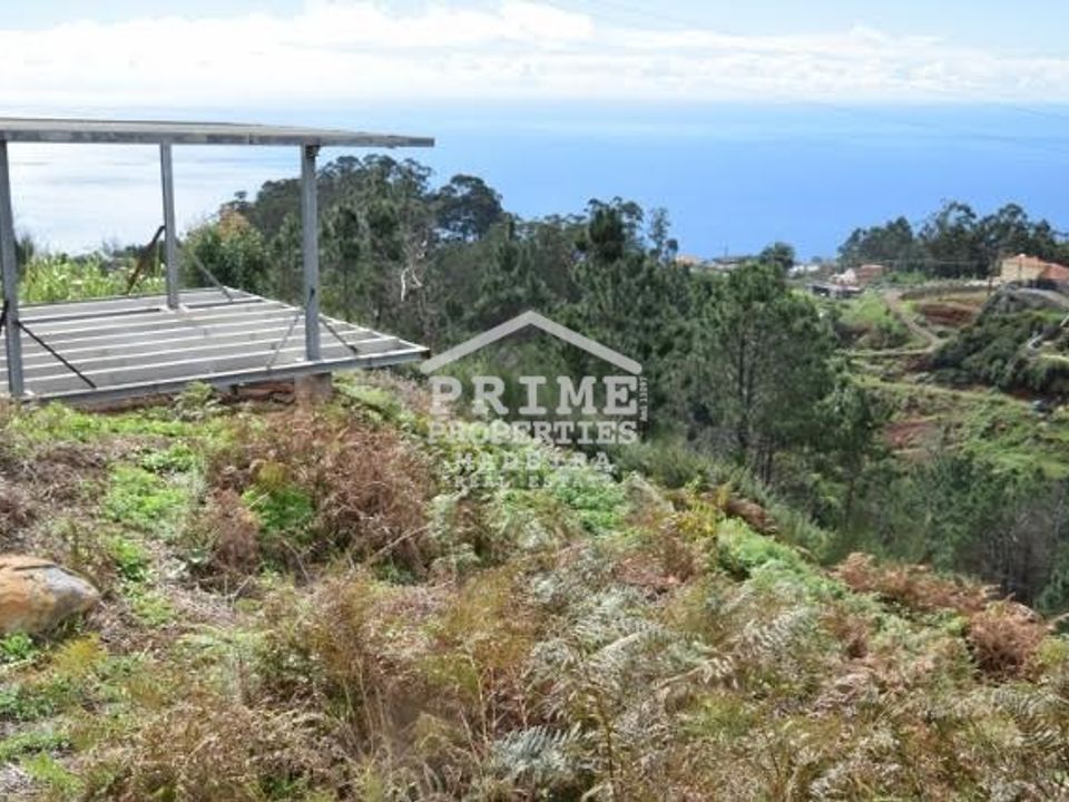Helårsgrund i Camacha, Madeira - foto 1