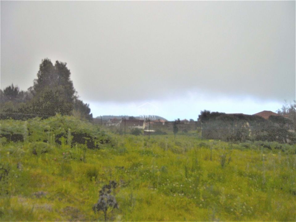 Tomt i Porto Moniz, Madeira - bilde 3