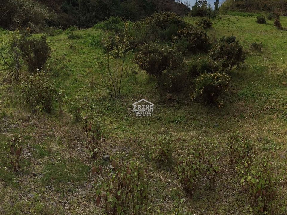 Helårsgrund i Sao Roque, Madeira - foto 1