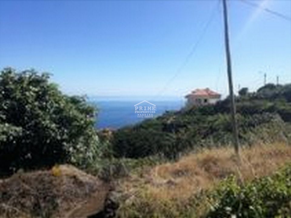 Helårsgrund i Santa Cruz, Madeira - foto 1