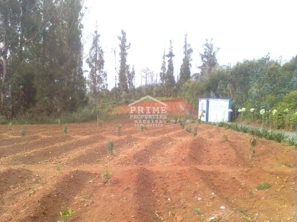 Helårsgrund i Calheta, Madeira - foto 5
