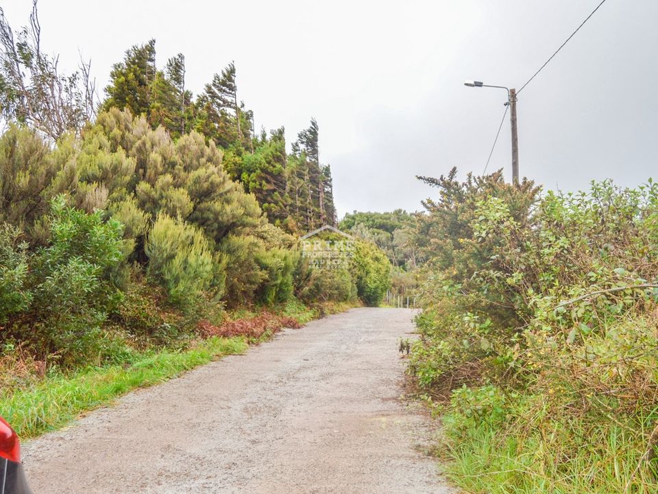 Helårsgrund i Santa Cruz, Madeira - foto 3