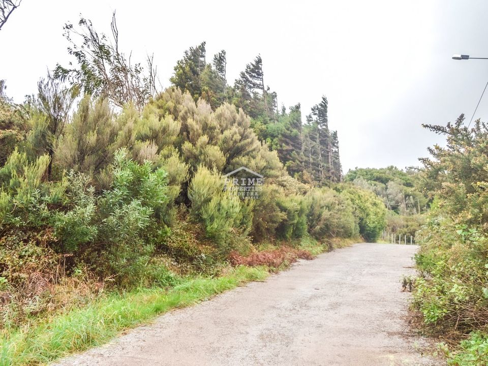 Helårsgrund i Santa Cruz, Madeira - foto 4
