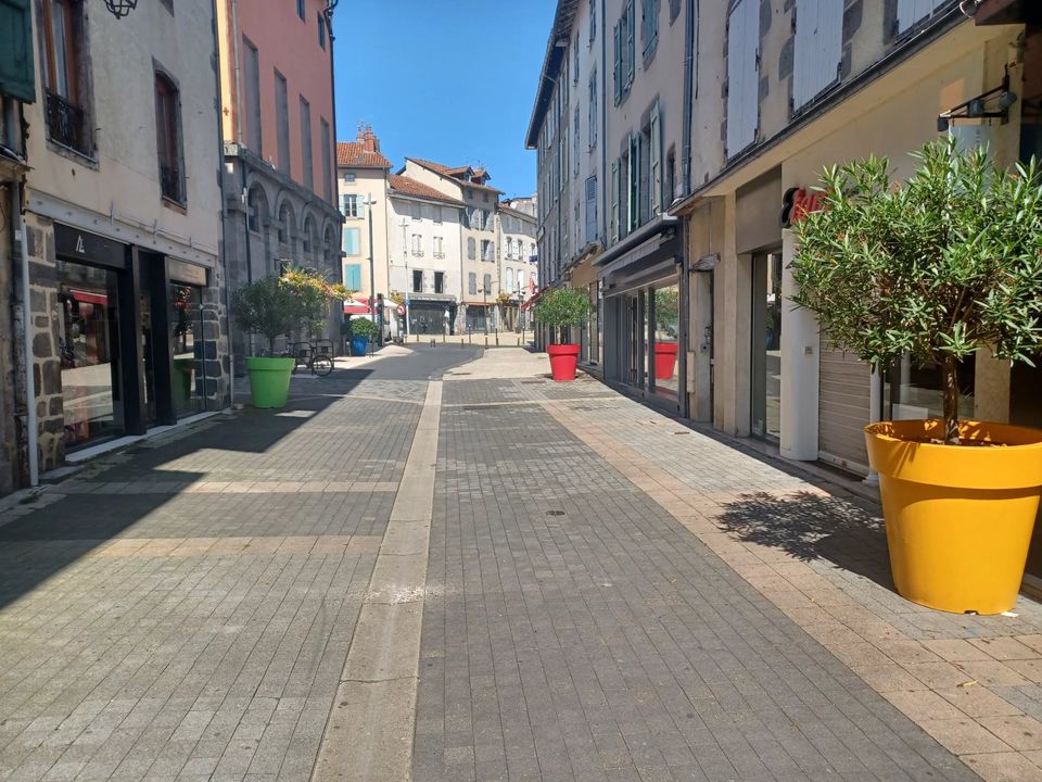 Erhvervsejendom i Aurillac, Cantal - foto 2