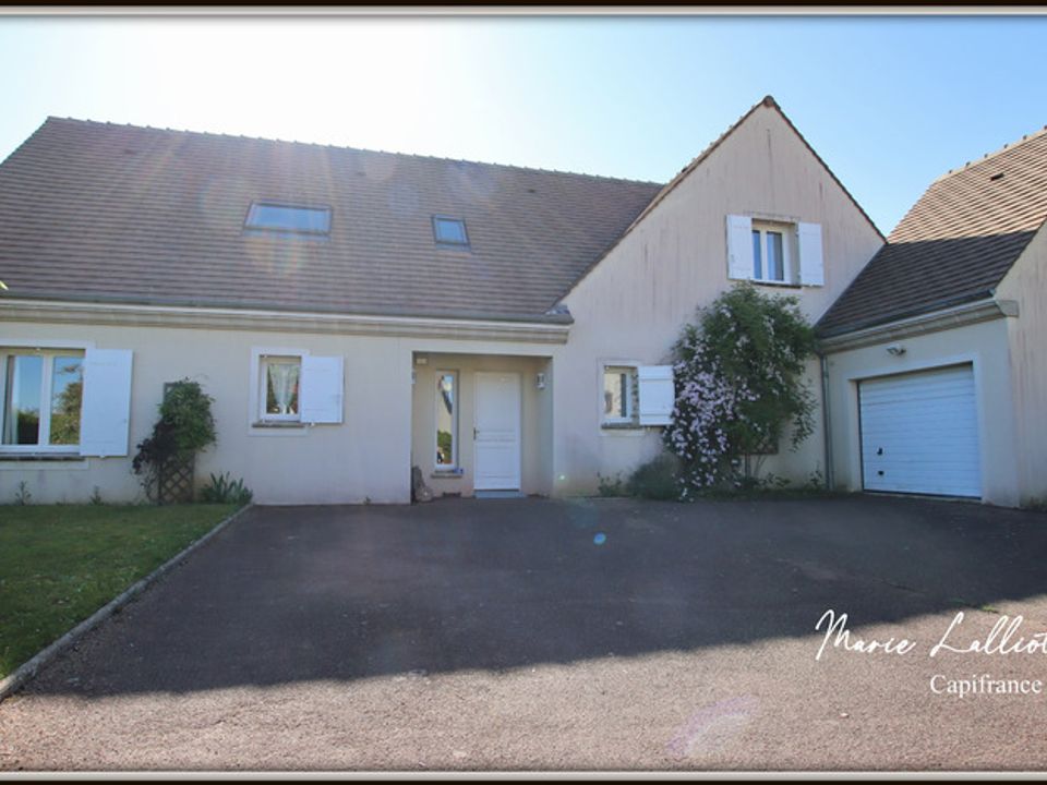 Villa i Dadonville, Loiret - foto 1