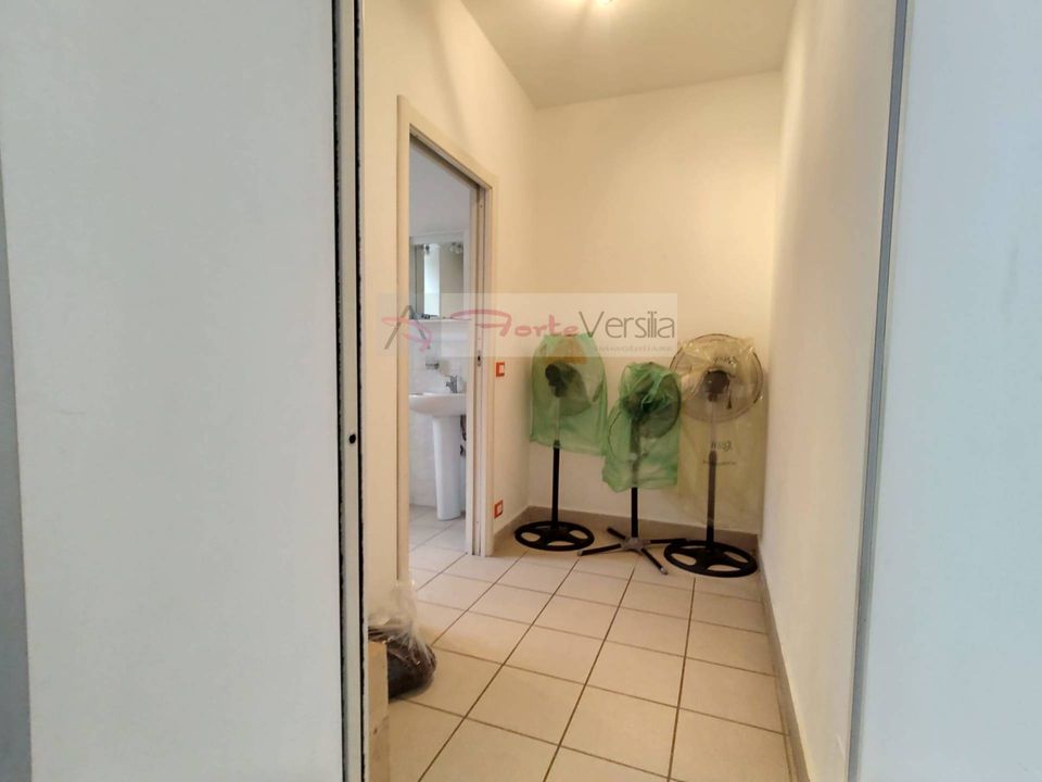 Erhvervsejendom i Seravezza, Lucca - foto 4