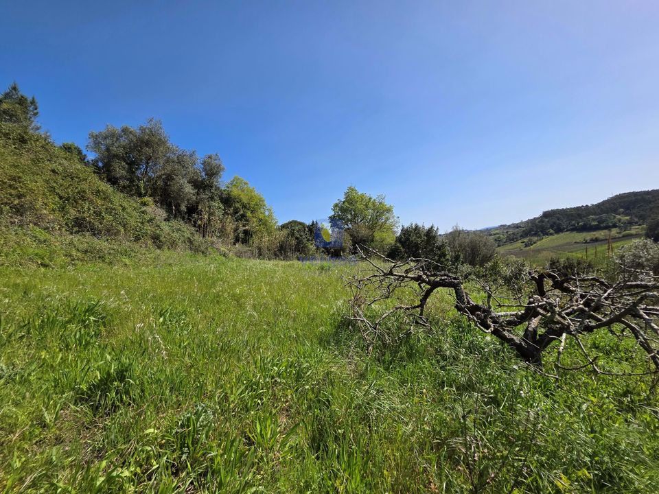 Villa i Caldas da Rainha, Leiria - foto 3