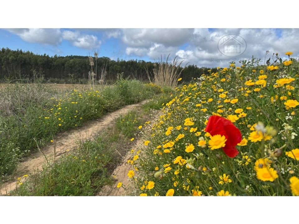 Helårsgrund i Atouguia da Baleia, Leiria - foto 3