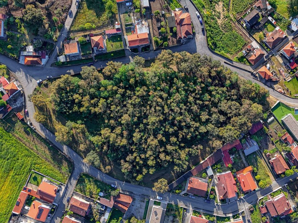 Helårsgrund i Santo Tirso, Porto - foto 2