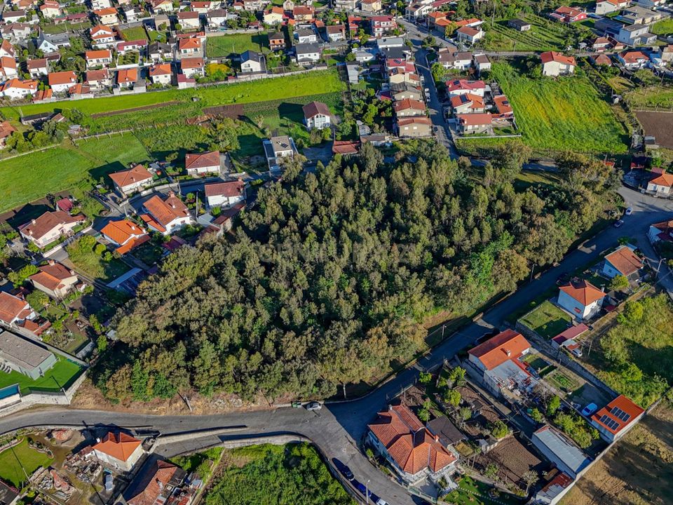 Helårsgrund i Santo Tirso, Porto - foto 3