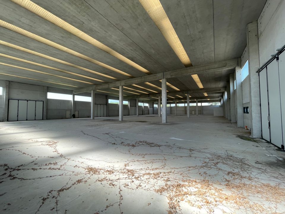 Erhvervsejendom i Pieve Porto Morone, Pavia - foto 1
