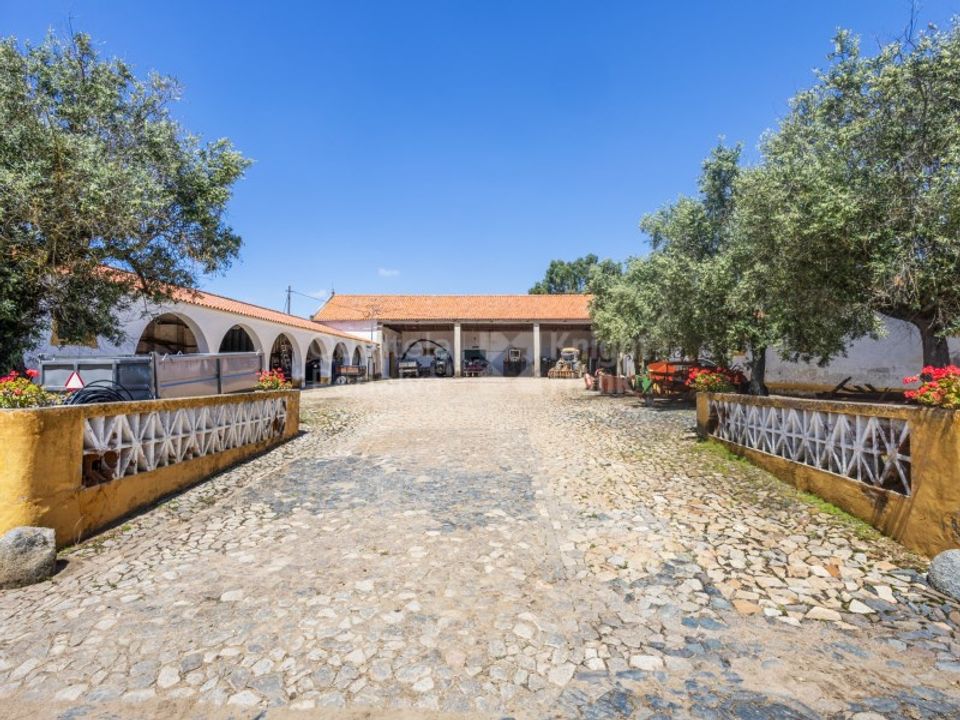 Farm i Reguengos de Monsaraz, Evora - foto 3