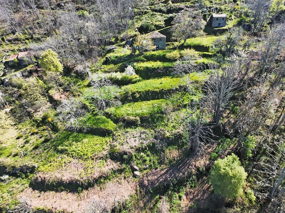 Landejendom i Guarda, Guarda - foto 4