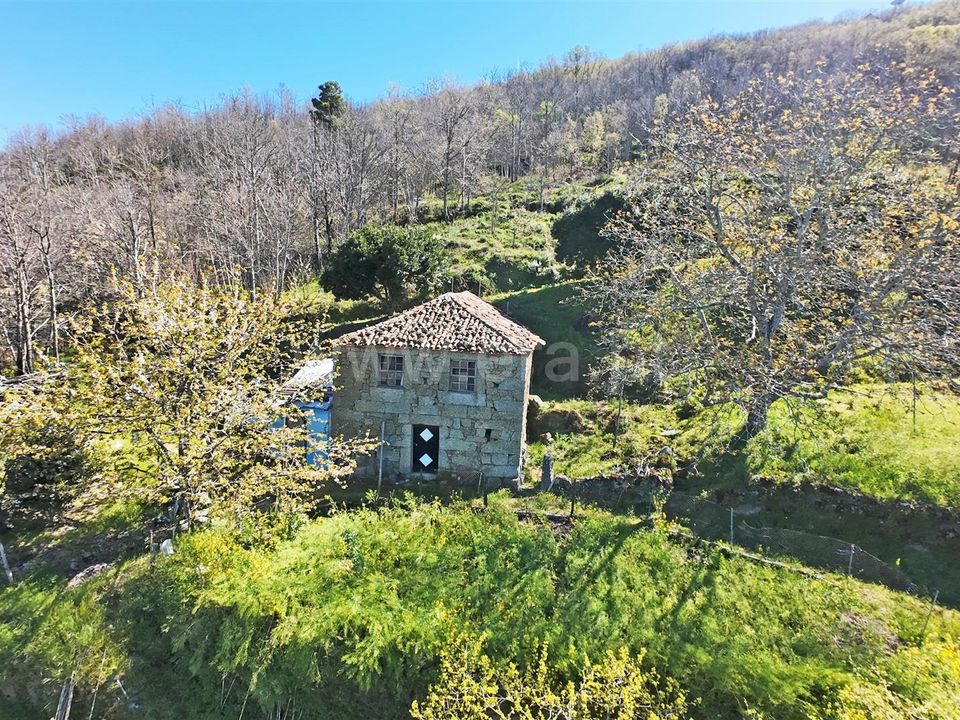 Landejendom i Guarda, Guarda - foto 5
