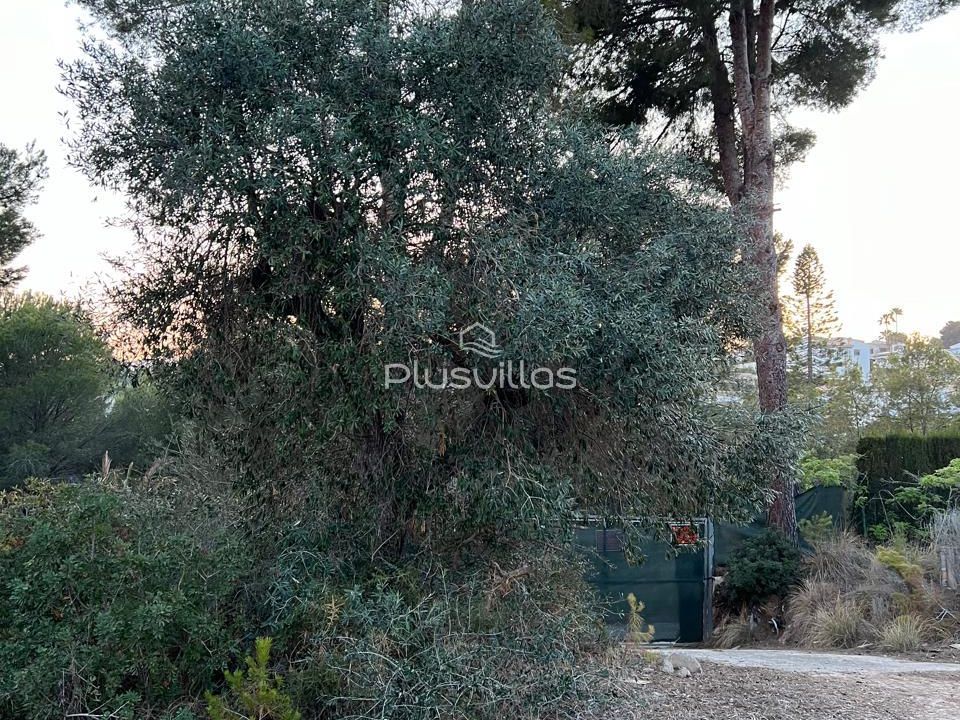 Helårsgrund i Benissa, Alicante - foto 4