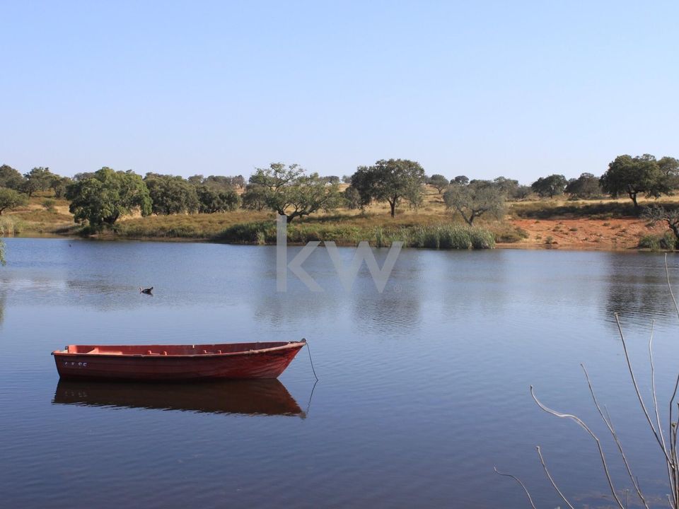 Farm i Serpa, Beja - foto 1
