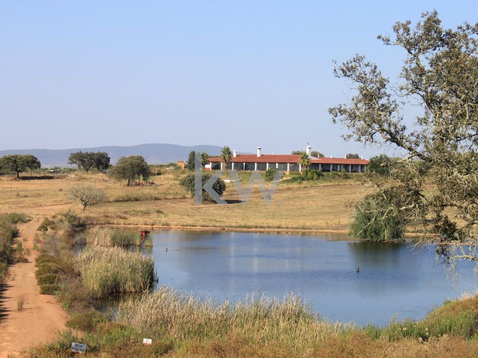 Farm i Serpa, Beja - foto 2