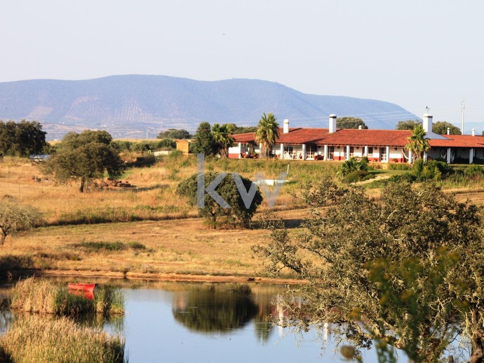 Farm i Serpa, Beja - foto 3