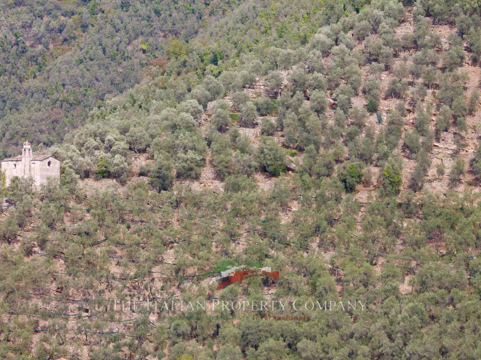 Landejendom i Montalto Carpasio, Imperia - foto 5