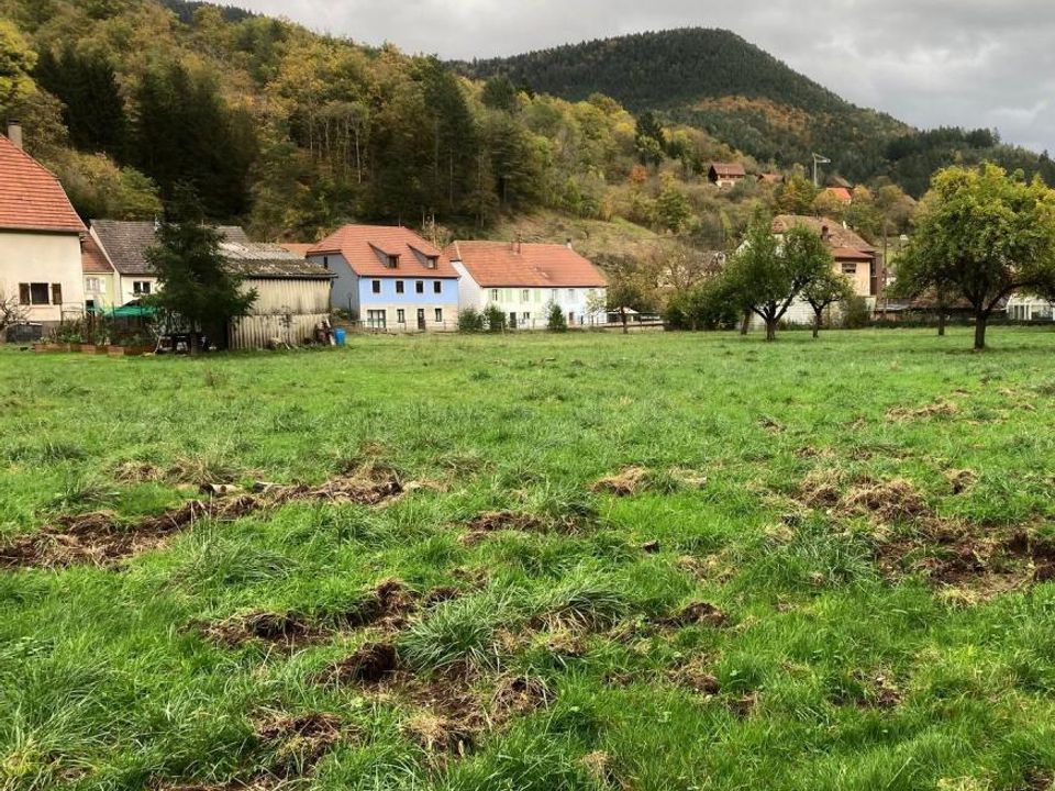 Helårsgrund i Rombach-le-Franc, Haut-Rhin - foto 1