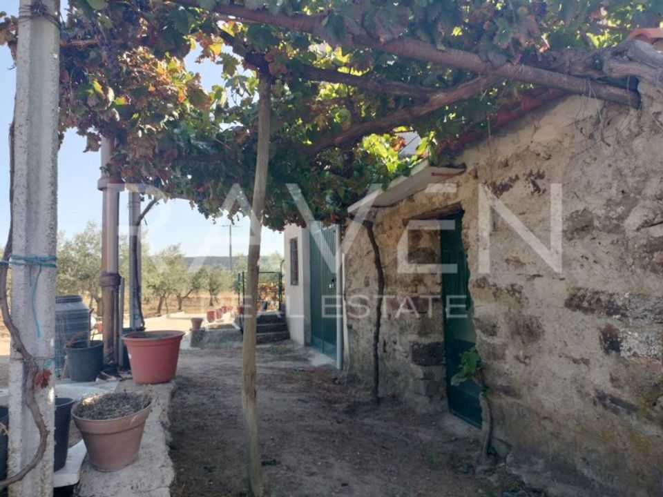 Farm i Freixo de Espada a Cinta, Braganca - foto 4