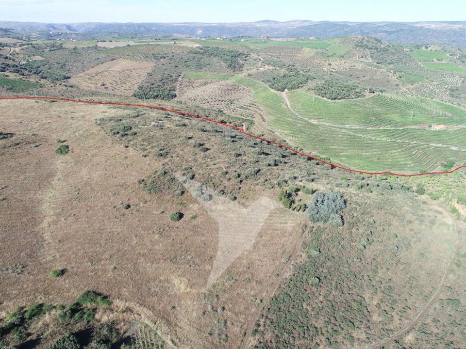 Gård i Freixo de Espada a Cinta, Braganca - bilde 5