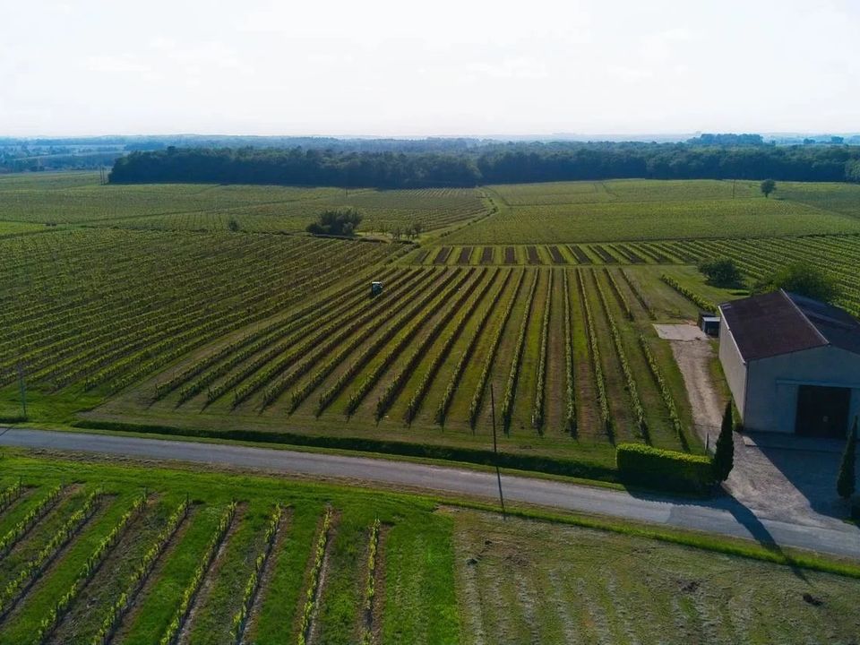 Landejendom i Sauveterre-de-Guyenne, Gironde - foto 1