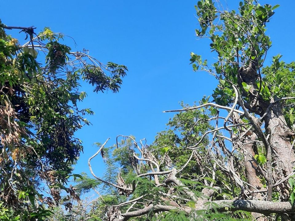 Villa a Saint-Andre, La Reunion - foto 1