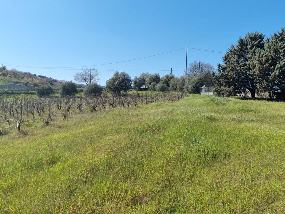 Herregård i Ozieri, Sassari - bilde 2