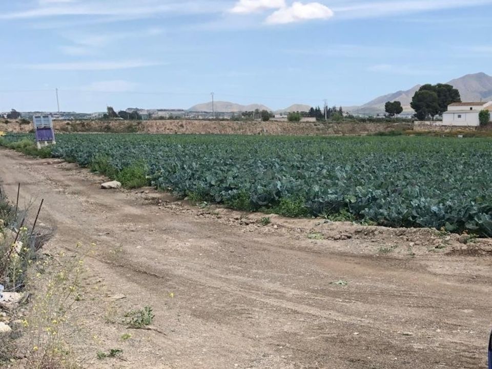 Helårsgrund i Huercal-Overa, Almeria - foto 4