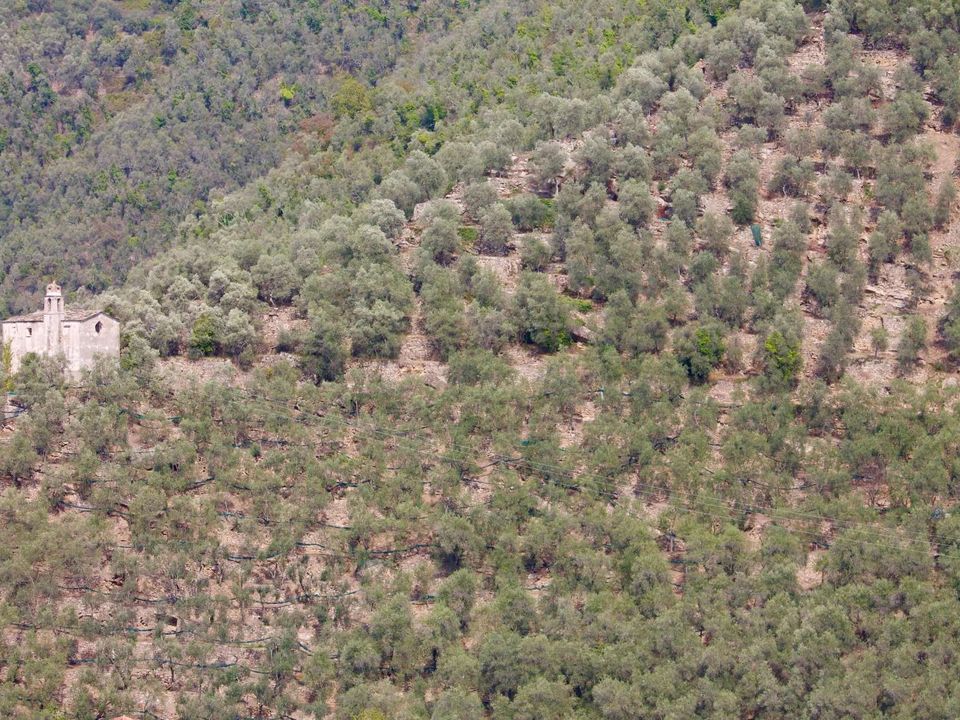 Villa i Montalto Carpasio, Imperia - foto 5