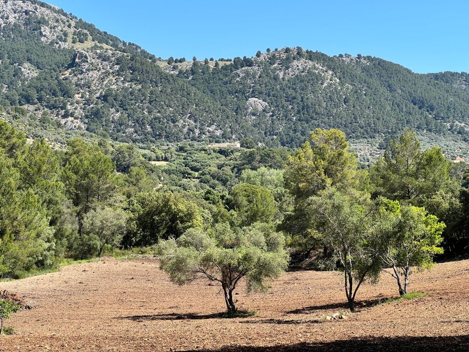 Helårsgrund i Selva, Mallorca - foto 1