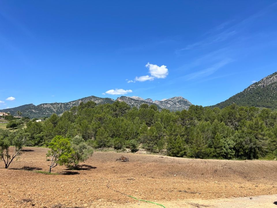 Helårsgrund i Selva, Mallorca - foto 2