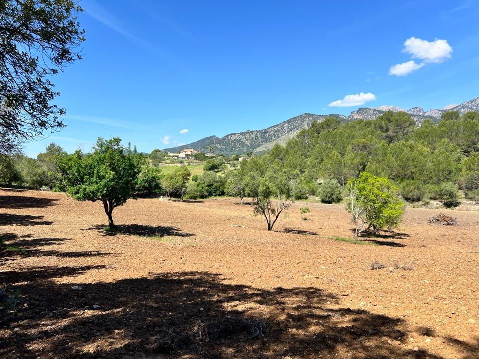 Helårsgrund i Selva, Mallorca - foto 3