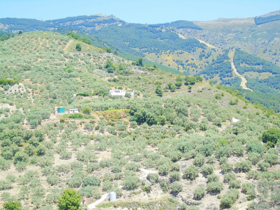 Landejendom i Canillas De Albaida, Malaga - foto 1
