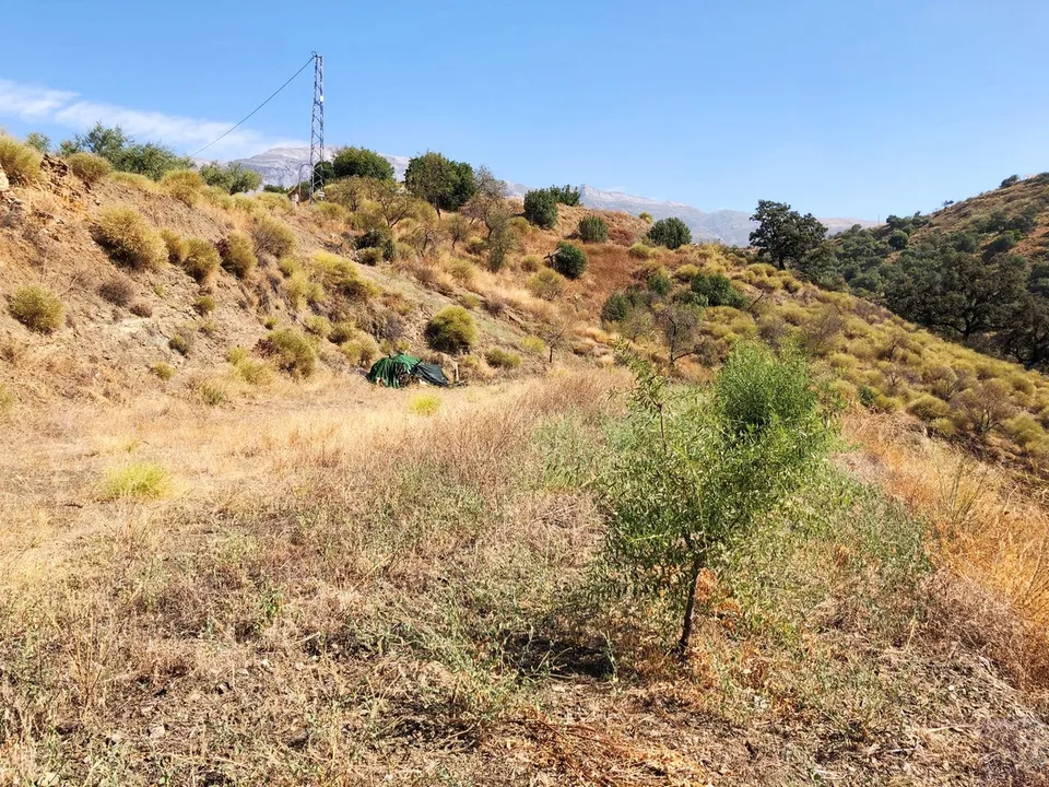 Helårsgrund i Sedella, Malaga - foto 5