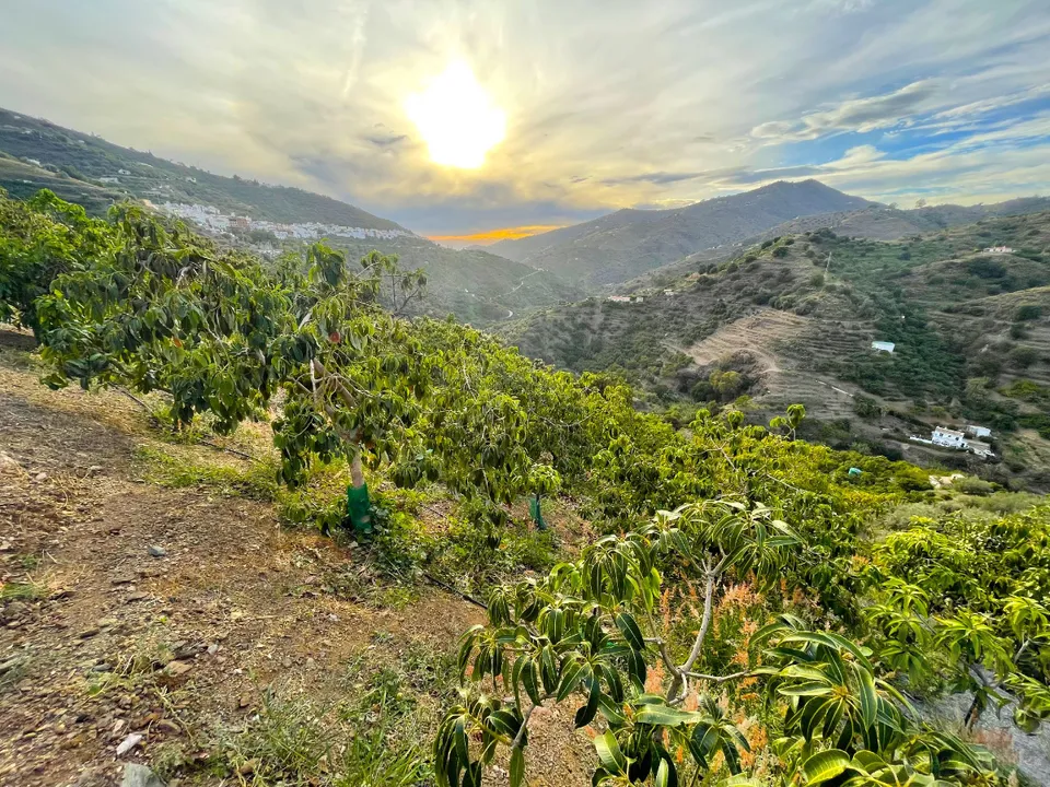 Landejendom i Sayalonga, Malaga - foto 2