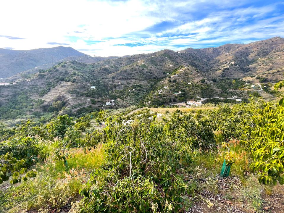 Landejendom i Sayalonga, Malaga - foto 5