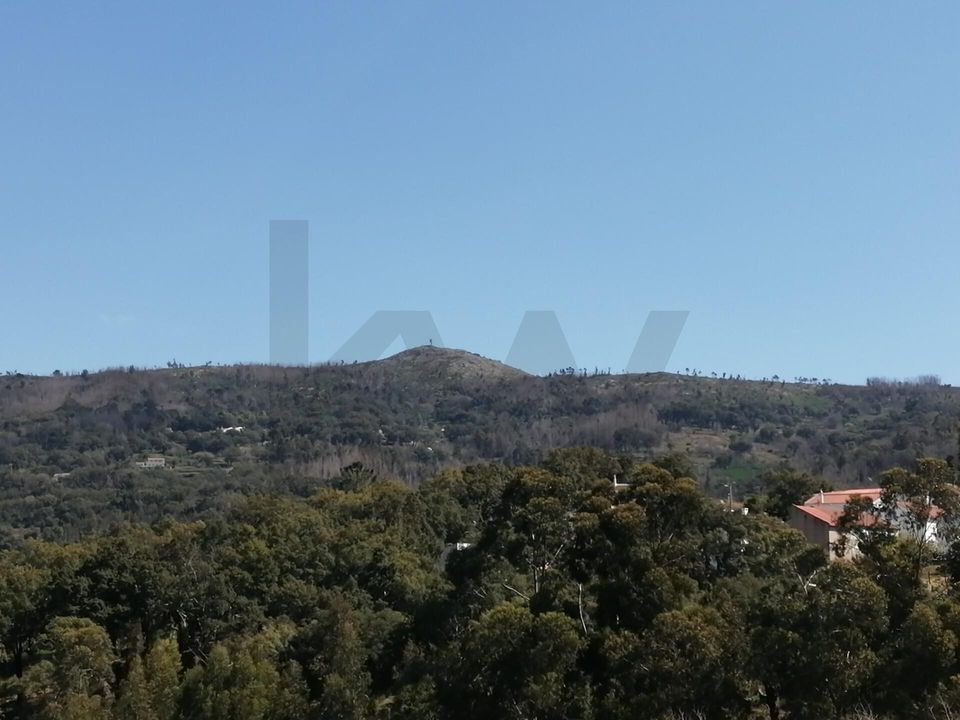 Erhvervsejendom i Monchique, Faro - foto 3