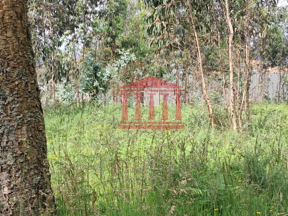 Helårsgrund i Barcelos, Braga - foto 4