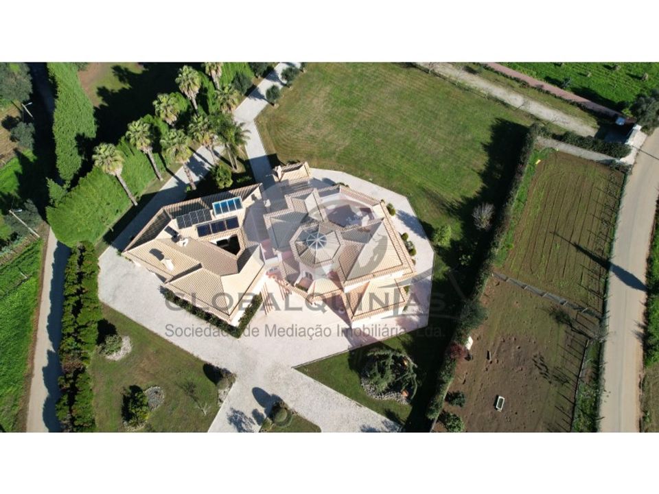 Granja a Aveiro, Aveiro - foto 3
