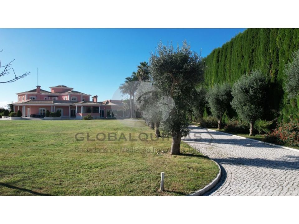 Granja a Aveiro, Aveiro - foto 4